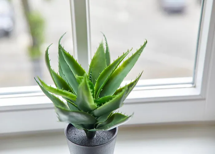 Haus Moselufer Og Appartement Commune fusionnée de Bernkastel-Kues